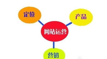 從策劃到技術(shù) 網(wǎng)站運營與SEO實戰(zhàn)經(jīng)驗及方案構(gòu)建思路分享